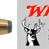 45-70 Government by Winchester 45-70 Govt, 300gr, Super-X Jacketed Hollow Point, (Per 20) [Winchester Ammo]